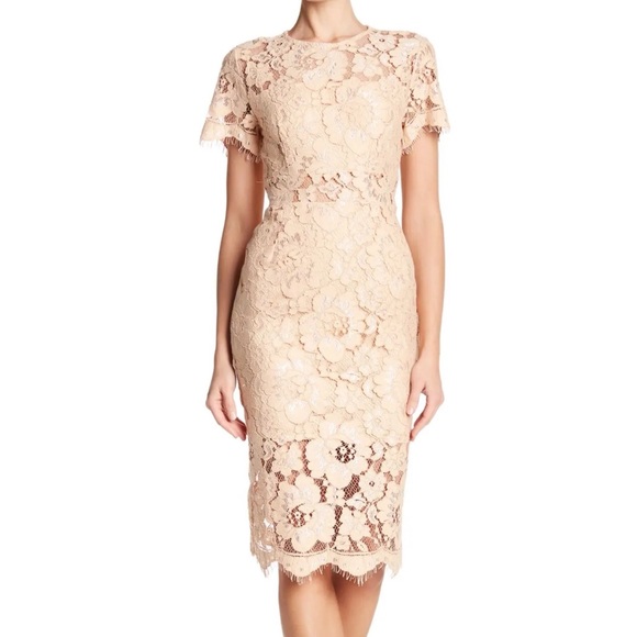 NSR Dresses & Skirts - NSR Lace Short Sleeve Sheath Midi Dress sz Medium